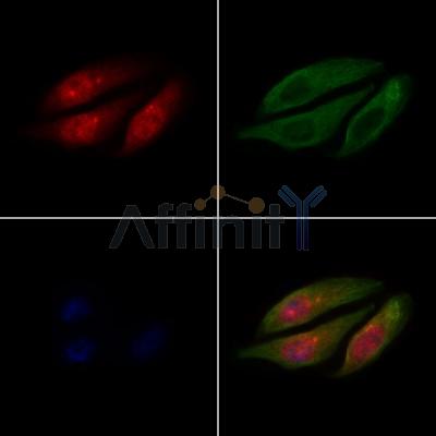 Валидация Affinity DF4486 - 16026