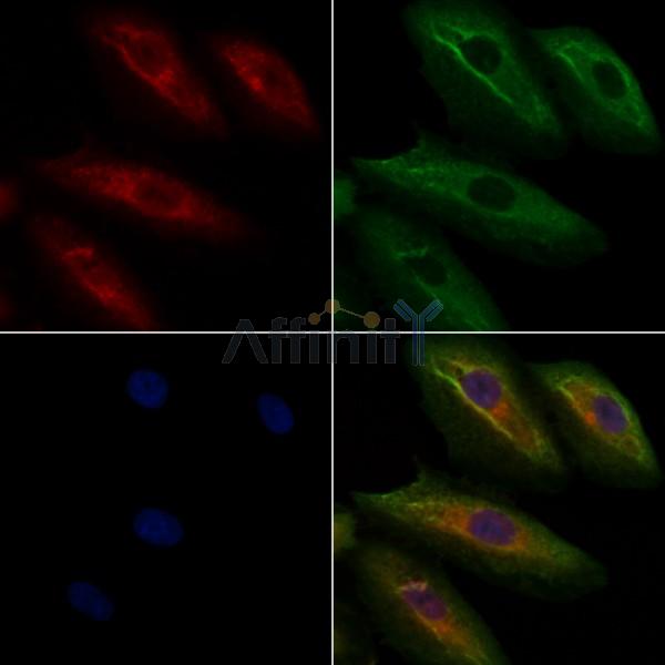 Валидация Affinity DF6634 - 18106