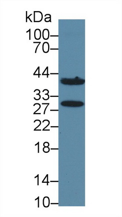 12848