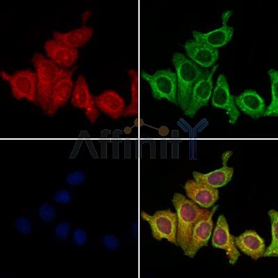 Валидация Affinity DF2298 - 12859