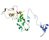 G Protein Coupled Receptor 89A (GPR89A) G Protein Coupled Receptor 89A (GPR89A)