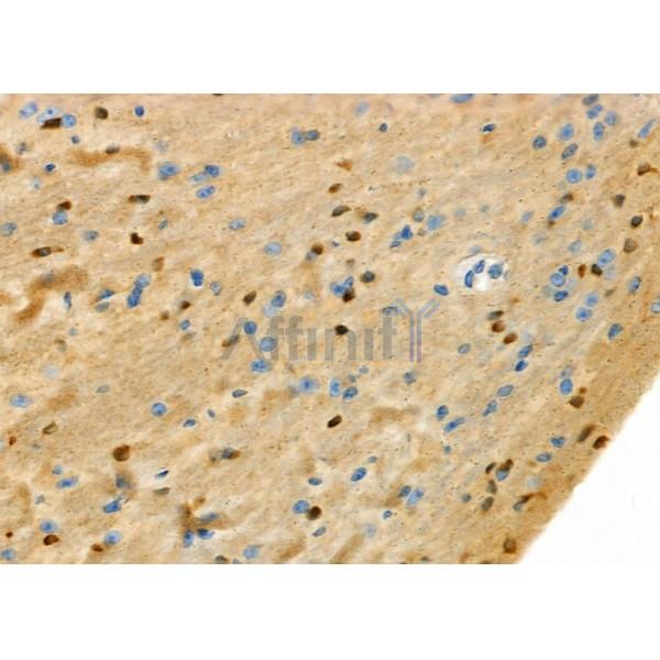 Валидация Affinity DF9905 - 22875