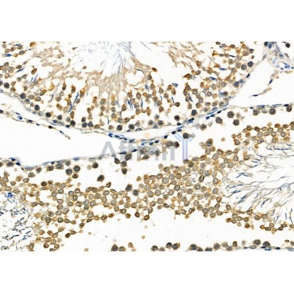 Валидация Affinity DF2421 - 13026