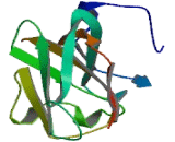 Inhibin Binding Protein (INHBP)