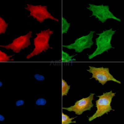 Валидация Affinity DF8628 - 20569