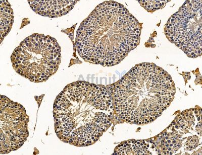 Валидация Affinity DF14627 - 10655