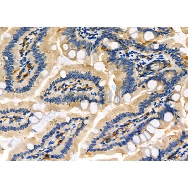 Валидация Affinity DF2468 - 13105