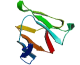 Carcinoembryonic Antigen Related Cell Adhesion Molecule 16 (CEACAM16) Carcinoembryonic Antigen Related Cell Adhesion Molecule 16 (CEACAM16)