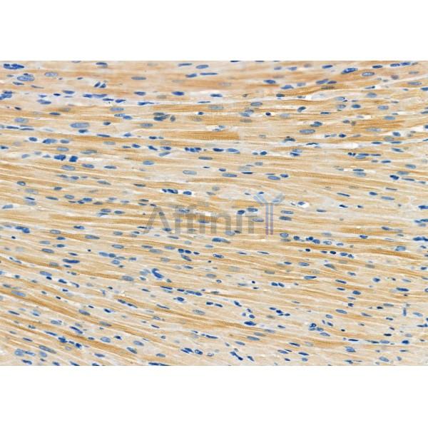 Валидация Affinity DF12328 - 6737