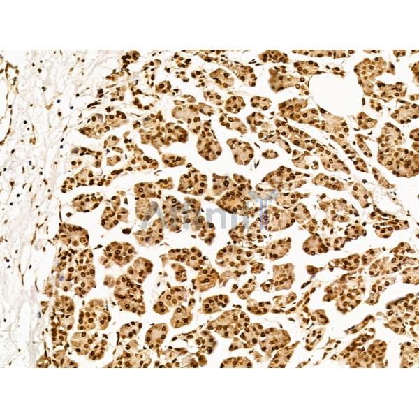 Валидация Affinity DF13563 - 9014