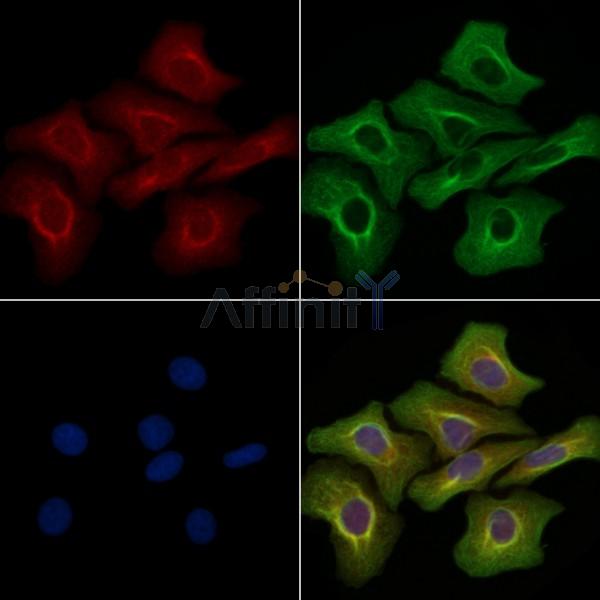 Валидация Affinity DF3278 - 14138