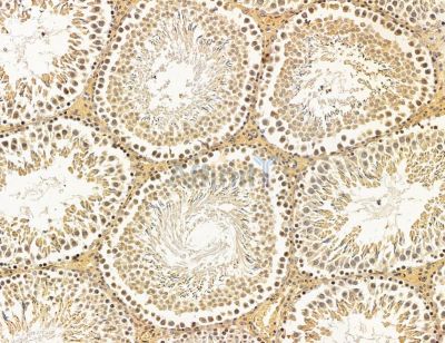 Валидация Affinity DF14721 - 10793