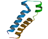Glycine Receptor Alpha 4 (GLRa4) Glycine Receptor Alpha 4 (GLRa4)