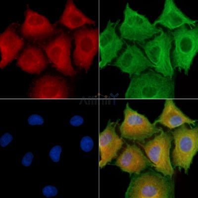 Валидация Affinity DF10265 - 5868