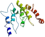 Cluster Of Differentiation 99 (CD99) Cluster Of Differentiation 99 (CD99)