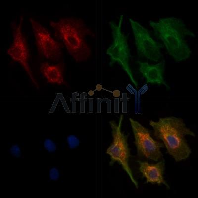 Валидация Affinity AF5008 - 2439