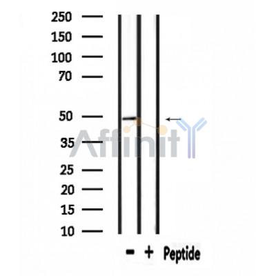 Валидация Affinity DF4645 - 16295