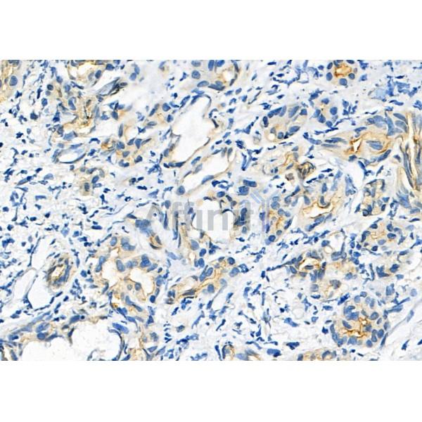 Валидация Affinity DF8000 - 19831