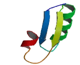 Olfactory Receptor 13G1 (OR13G1) Olfactory Receptor 13G1 (OR13G1)