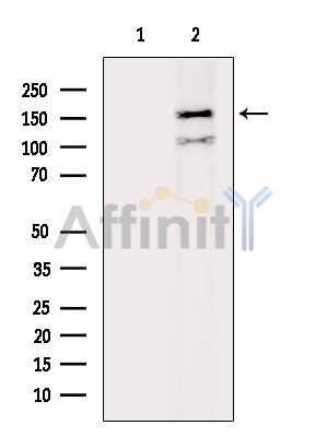 Валидация Affinity DF15934 - 12446