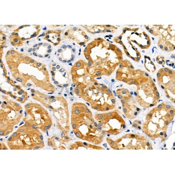 Валидация Affinity AF9048 - 4792