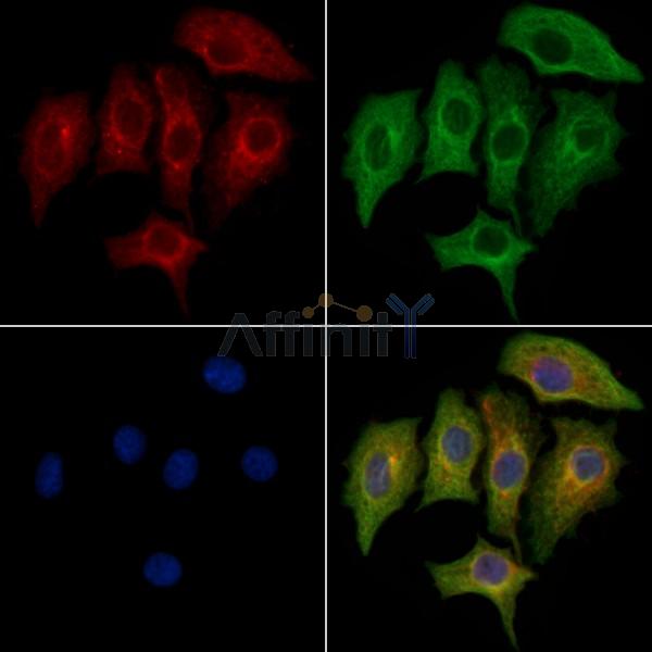 Валидация Affinity DF10261 - 5861