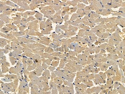 Валидация Affinity DF13336 - 8524