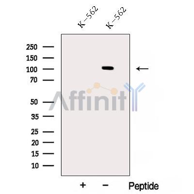 Валидация Affinity DF12824 - 7536