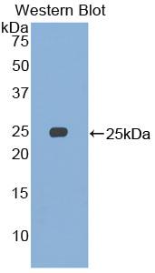 59837
