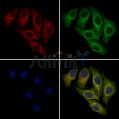 Валидация Affinity DF8454 - 20336