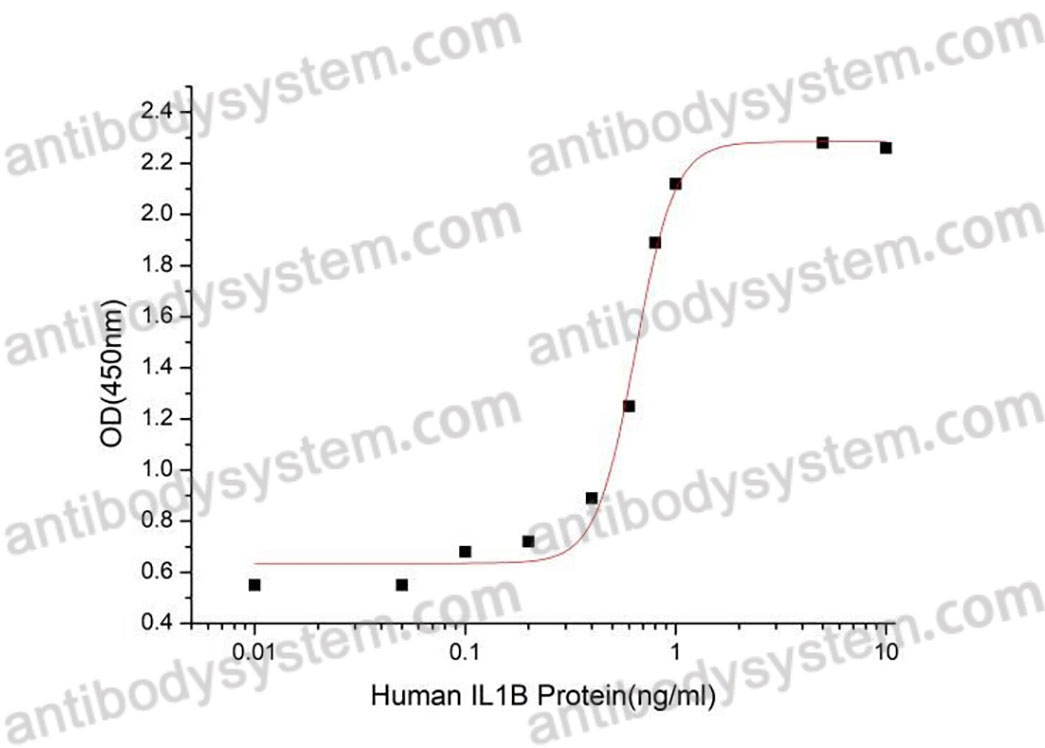 Валидация активности AntibodySystem AHB95601