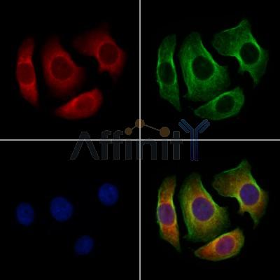 Валидация Affinity DF10262 - 5863