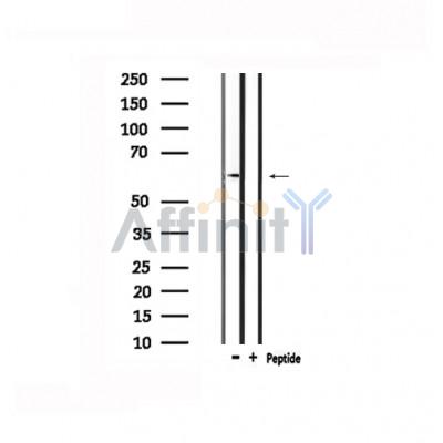 Валидация Affinity DF4884 - 16672