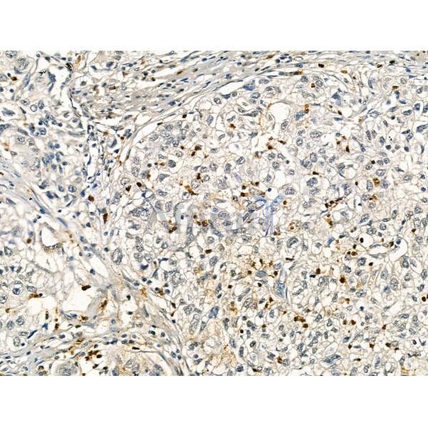 Валидация Affinity DF13230 - 8271