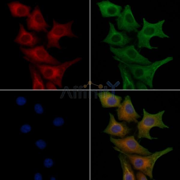 Валидация Affinity DF2737 - 13472