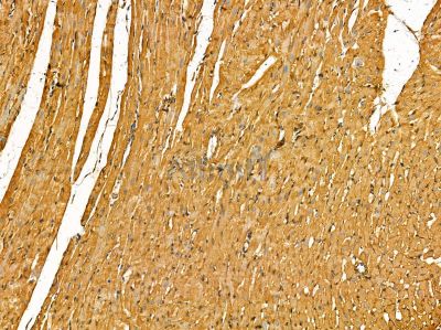 Валидация Affinity DF14520 - 10506