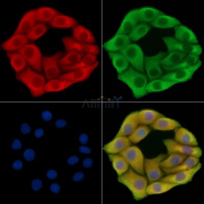 Валидация Affinity DF14490 - 10472