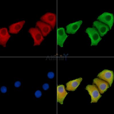 Валидация Affinity DF14730 - 10805