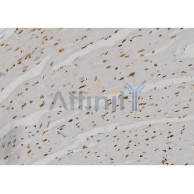 Валидация Affinity AF5395 - 3037