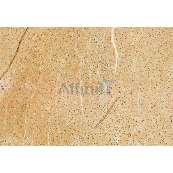 Валидация Affinity DF12104 - 6226