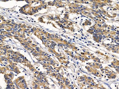 Валидация Affinity DF4160 - 15487