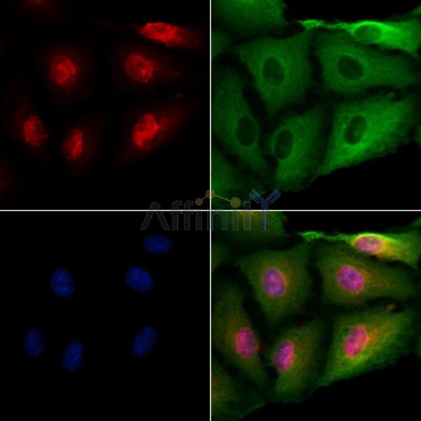 Валидация Affinity AF4069 - 2135