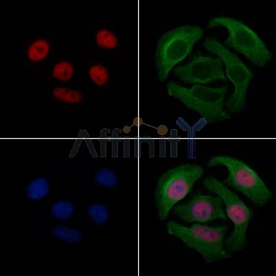 Валидация Affinity AF6470 - 3798