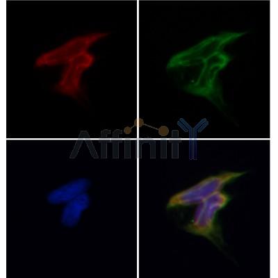 Валидация Affinity DF4892 - 16688