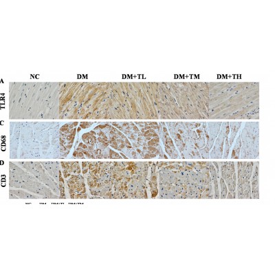 Валидация Affinity DF6594 - 18040