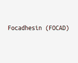 Focadhesin (FOCAD)