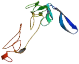 Cadherin EGF LAG Seven Pass G-Type Receptor 3 (CELSR3) Cadherin EGF LAG Seven Pass G-Type Receptor 3 (CELSR3)
