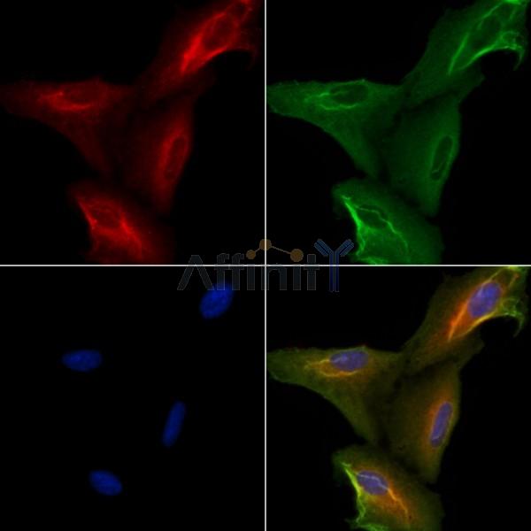 Валидация Affinity DF10141 - 5664