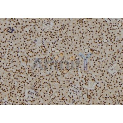 Валидация Affinity AF6103 - 3311