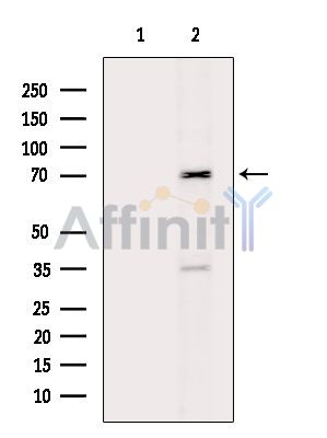 Валидация Affinity DF15364 - 11673